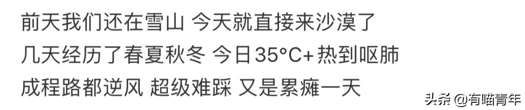 网红绑猫*藏西**骑行求关注,遭网友质疑回怼:比在家里刺激多了