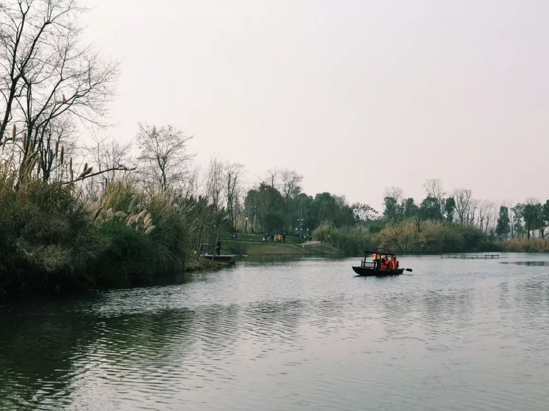 成都最新公园消息,成都陆续开放的公园