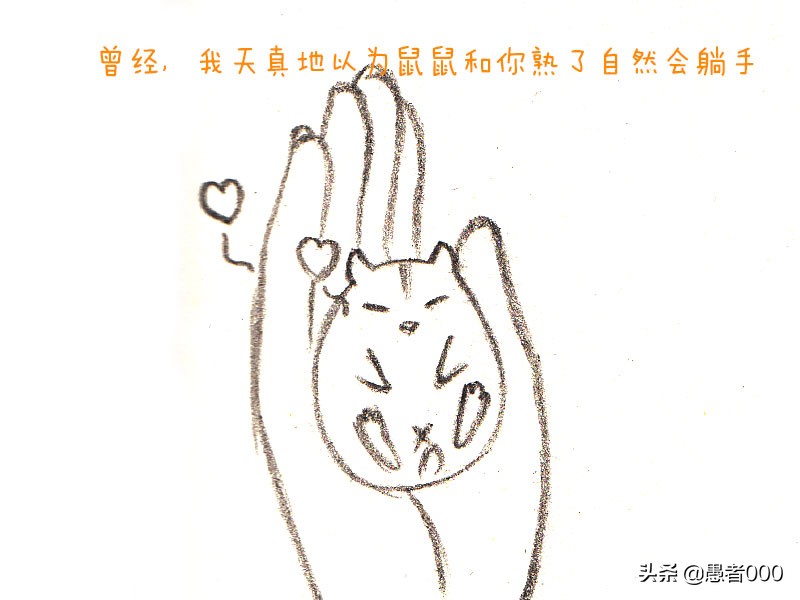 可爱的仓鼠漫画简单,画可爱的仓鼠漫画