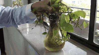 防蚊灭蚊的关键,防蚊灭蚊详细方案