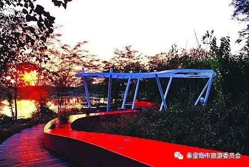 秦皇岛骑行最佳环线夜间,秦皇岛最美公路怎么导航