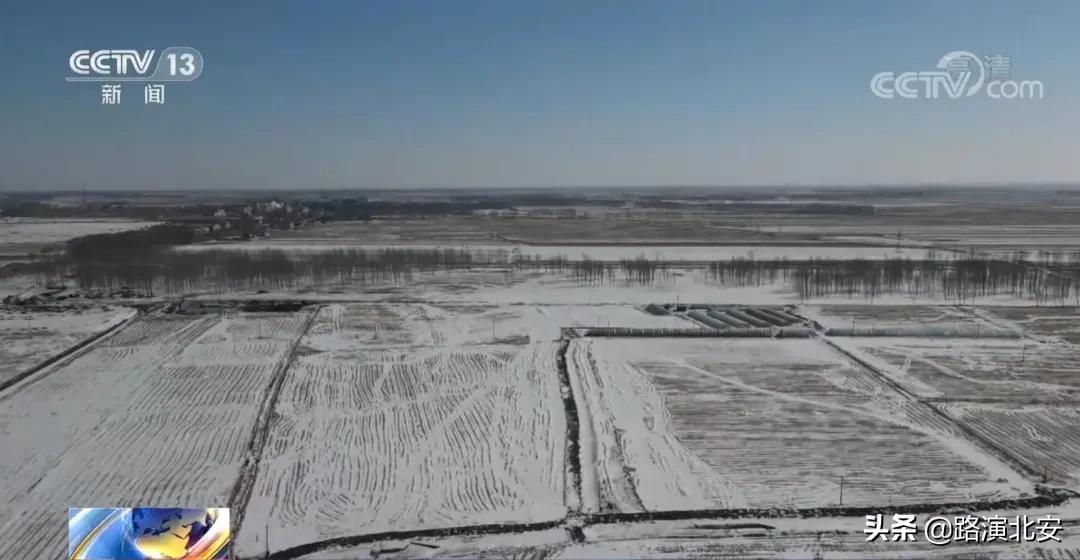 农业部关于春耕备播,央媒聚焦立夏将至农事忙