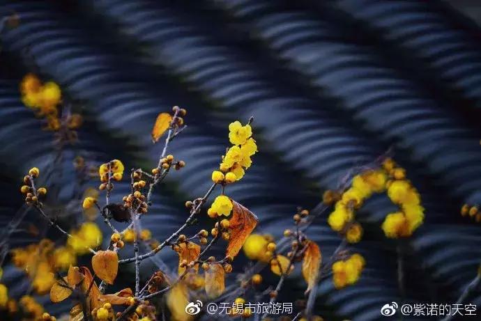 过年老友约饭好去处,三五老友聚会好去处