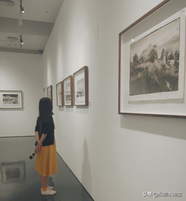 深圳有哪些地方免费景点,深圳都有什么景点免费游玩