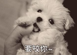 excel如何隔行填充数据,excel隔行怎么自动填充序列