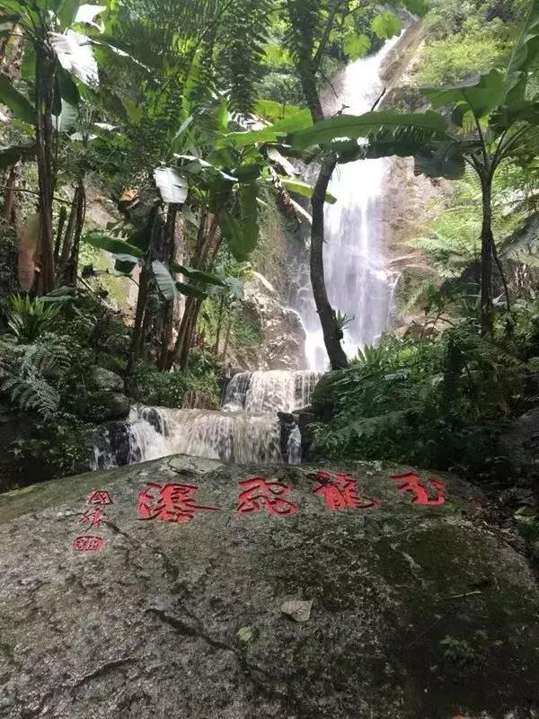 腾冲樱花谷景区,腾冲樱花谷