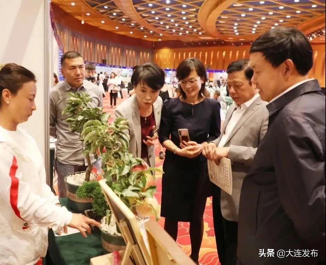 大连近郊游一日游最佳路线,大连春游最佳路线