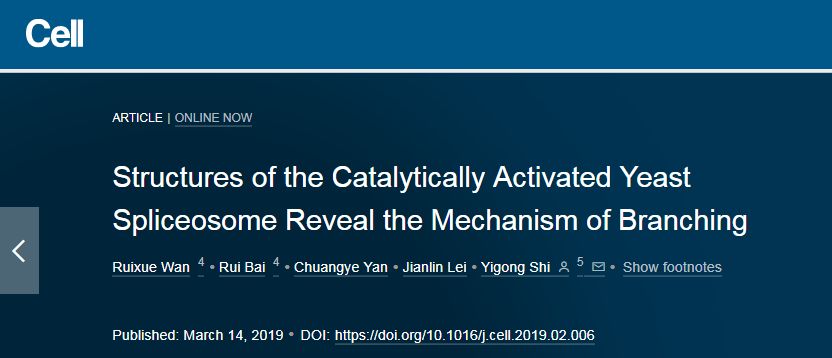 冷冻电镜最新研究,冷冻电镜研究成果涌现