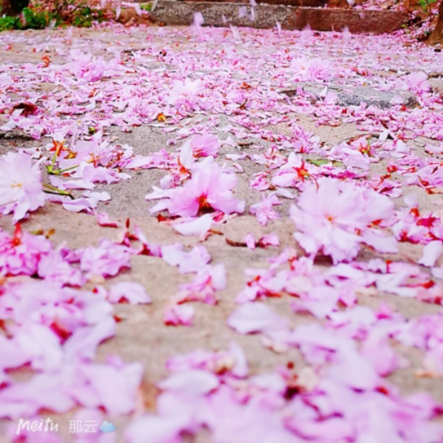 七夕愿以深情共白头的句子,愿与岁月可回首且以情深共白头