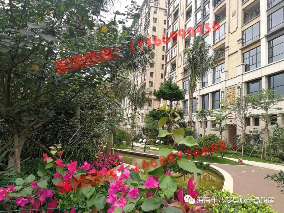 海口市金岛国际一期,海南金岛国际二期楼盘