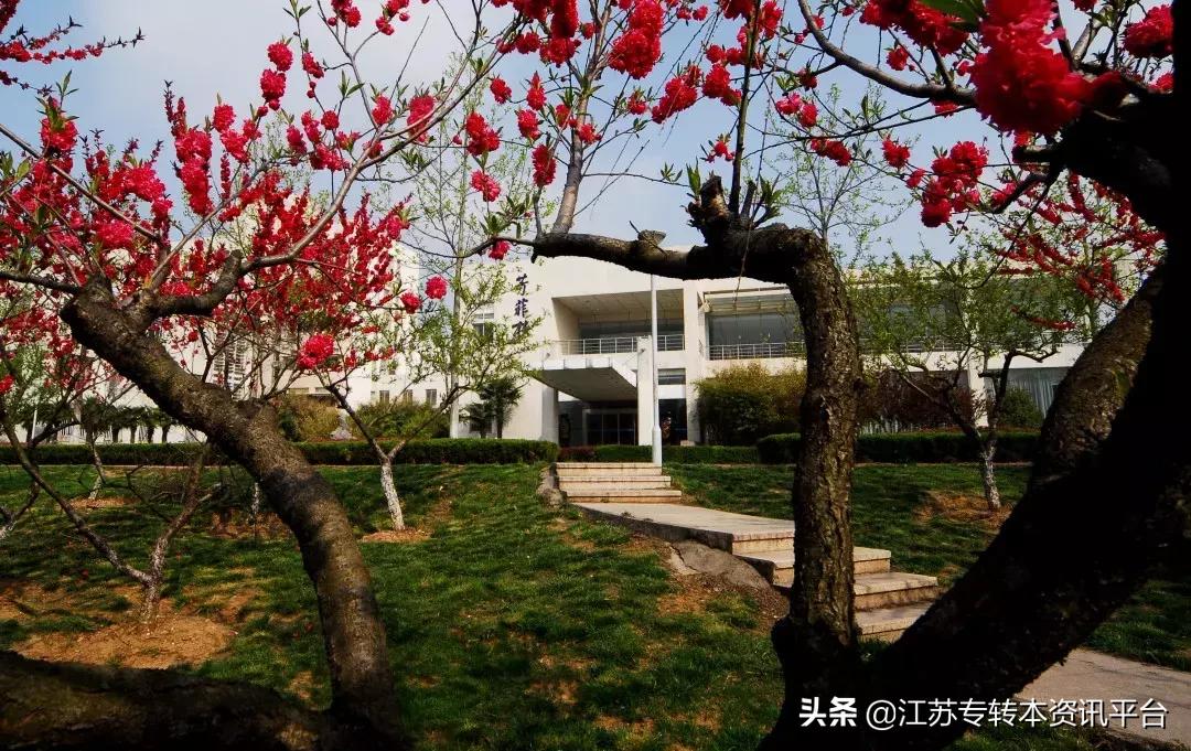 江苏专转本院校介绍「南京师范大学中北学院」