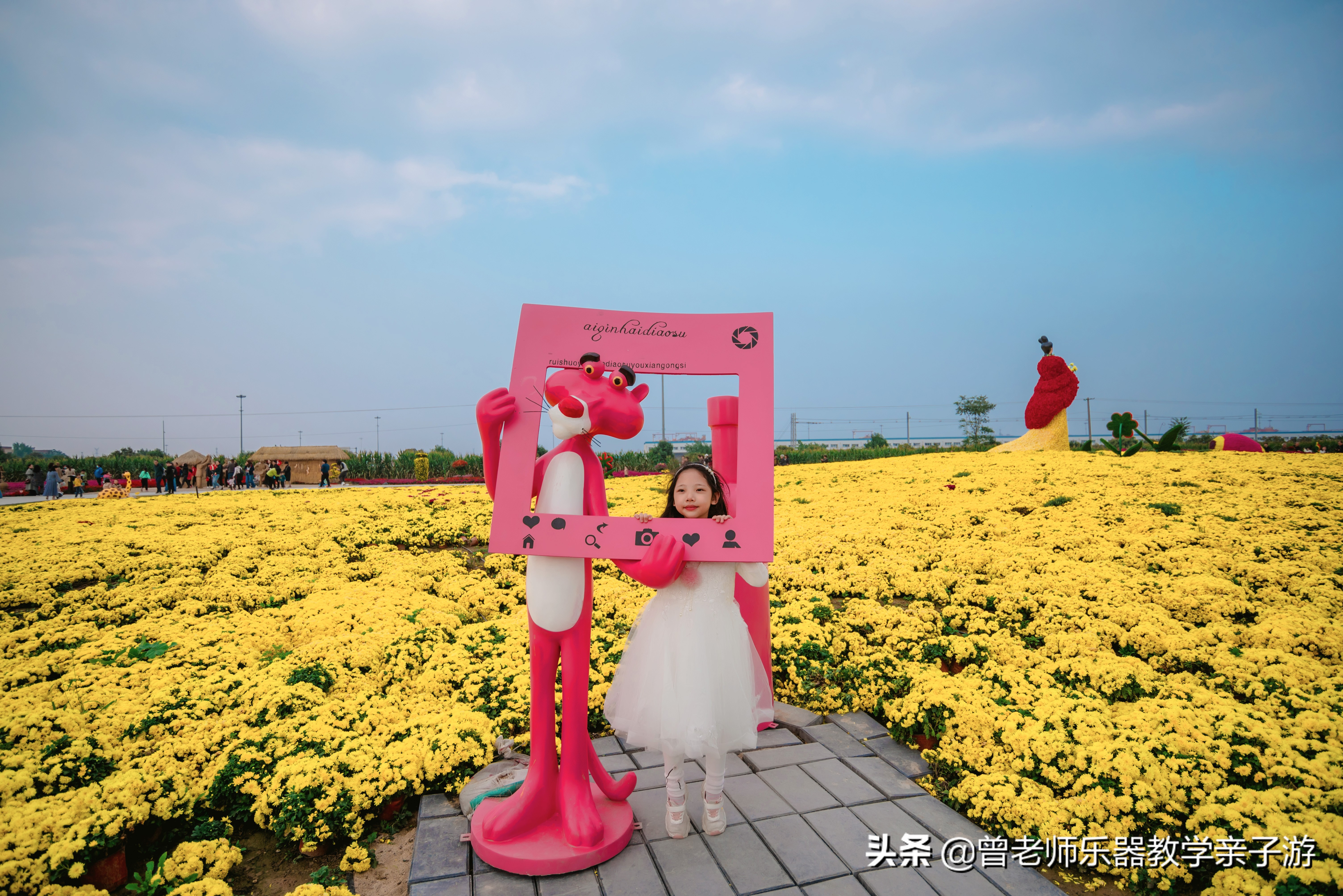 爱菊研学游,爱菊丝路文化菊花园西安