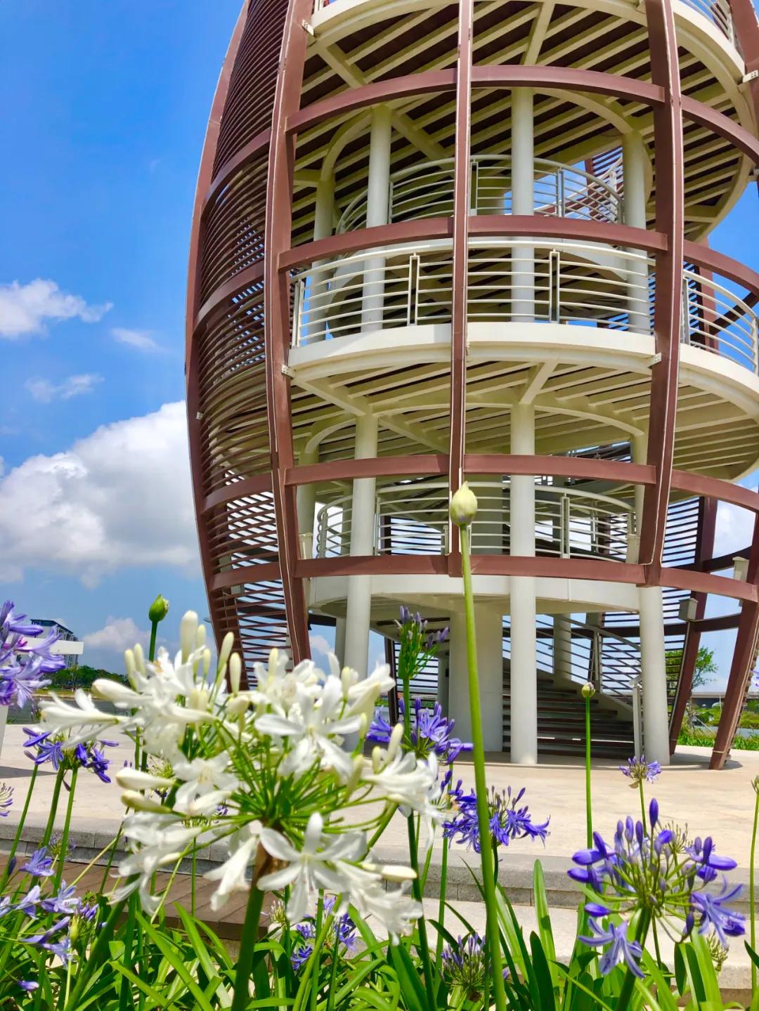 花园庭院设计花卉园艺,花园搭配的草类植物