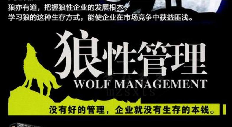 狼文化的团队文化,狼文化与狼性团队