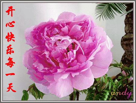 婚姻遇到问题怎么保持冷静,婚姻中的冷漠怎么化解