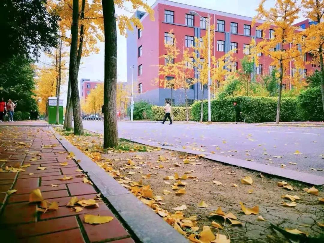 辽宁中医药大学杏林学院有独卫吗,辽宁中医药大学杏林学院属于3+2吗