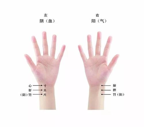 既来之则安之该怎么回复,月经不调怎么把脉诊断