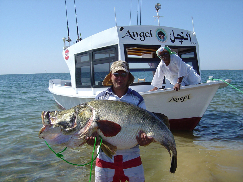 非洲维多利亚湖中泛滥的尼罗河鲈鱼都胖成球了,真的太嚣张了