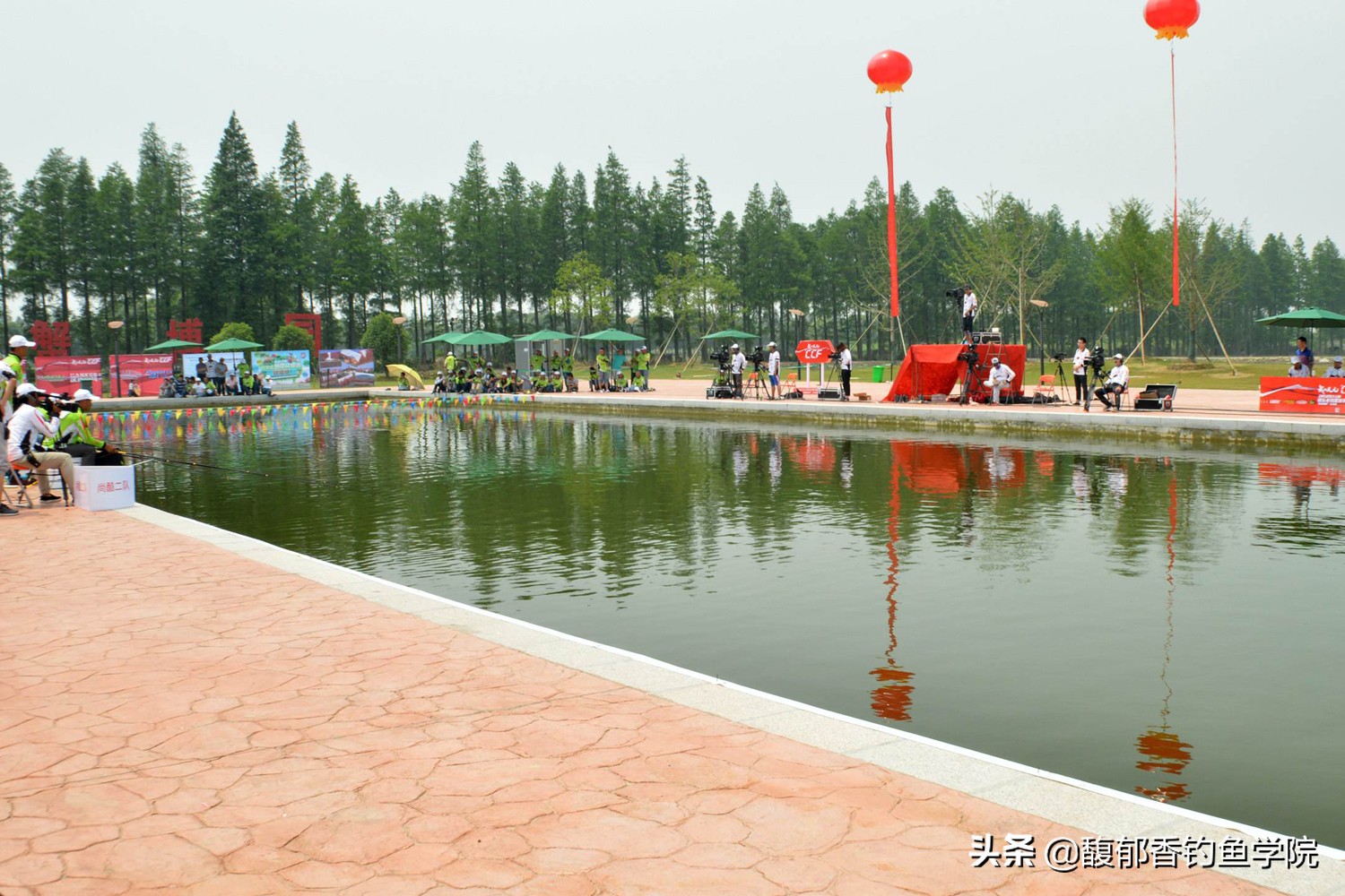 被撒化肥的黑坑怎么钓鱼？肥水黑坑怎么钓鱼？一招应对肥水黑坑