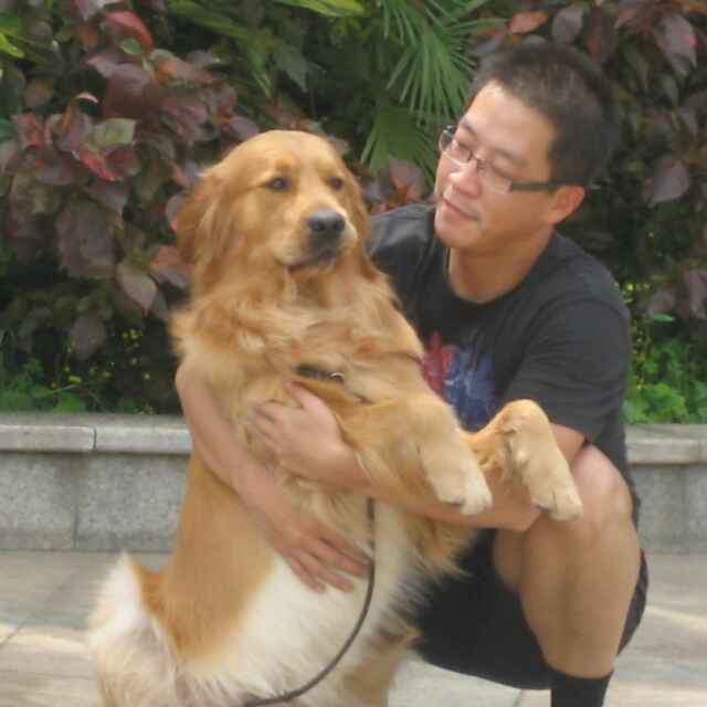 魏庆终端销售技巧,魏庆销售课程全集