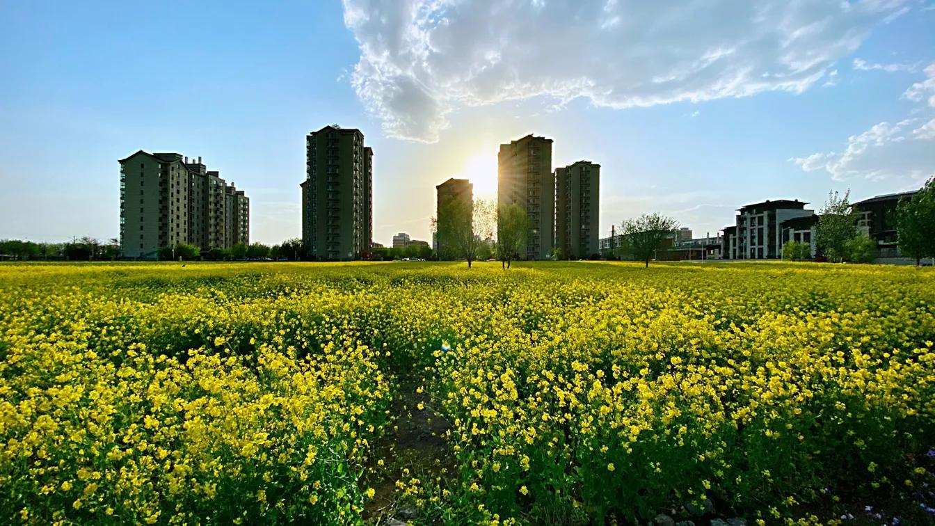 红星集体农庄,红星集体农庄门票