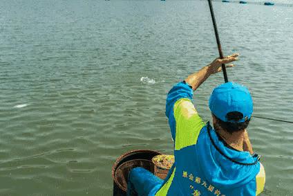 浆层对鱼饵料有影响吗,水底浆层影响钓鱼吗