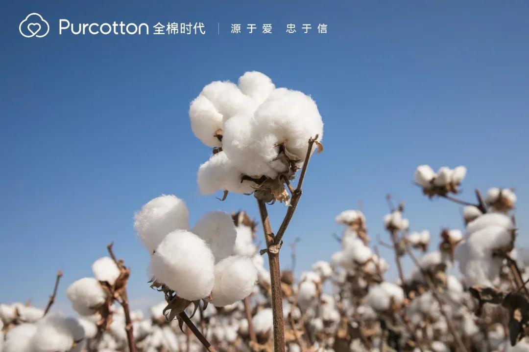 全棉时代：线上线下同时发力，逆风增长站稳脚跟