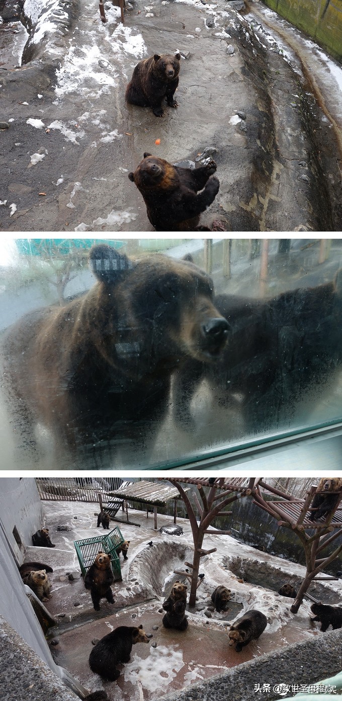 日本自由行出境旅游,去日本旅游要流水账单