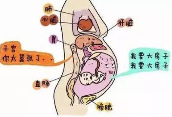 你这个磨人的小妖精抖音,你这个磨人的小妖精