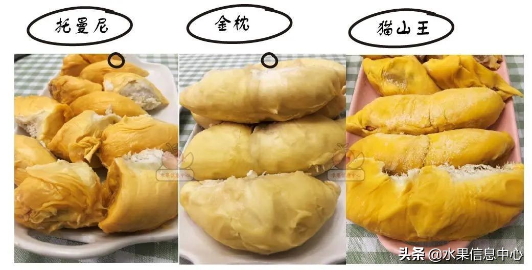 托曼尼猫山王榴莲价格,泰国托曼尼榴莲和猫山王区别