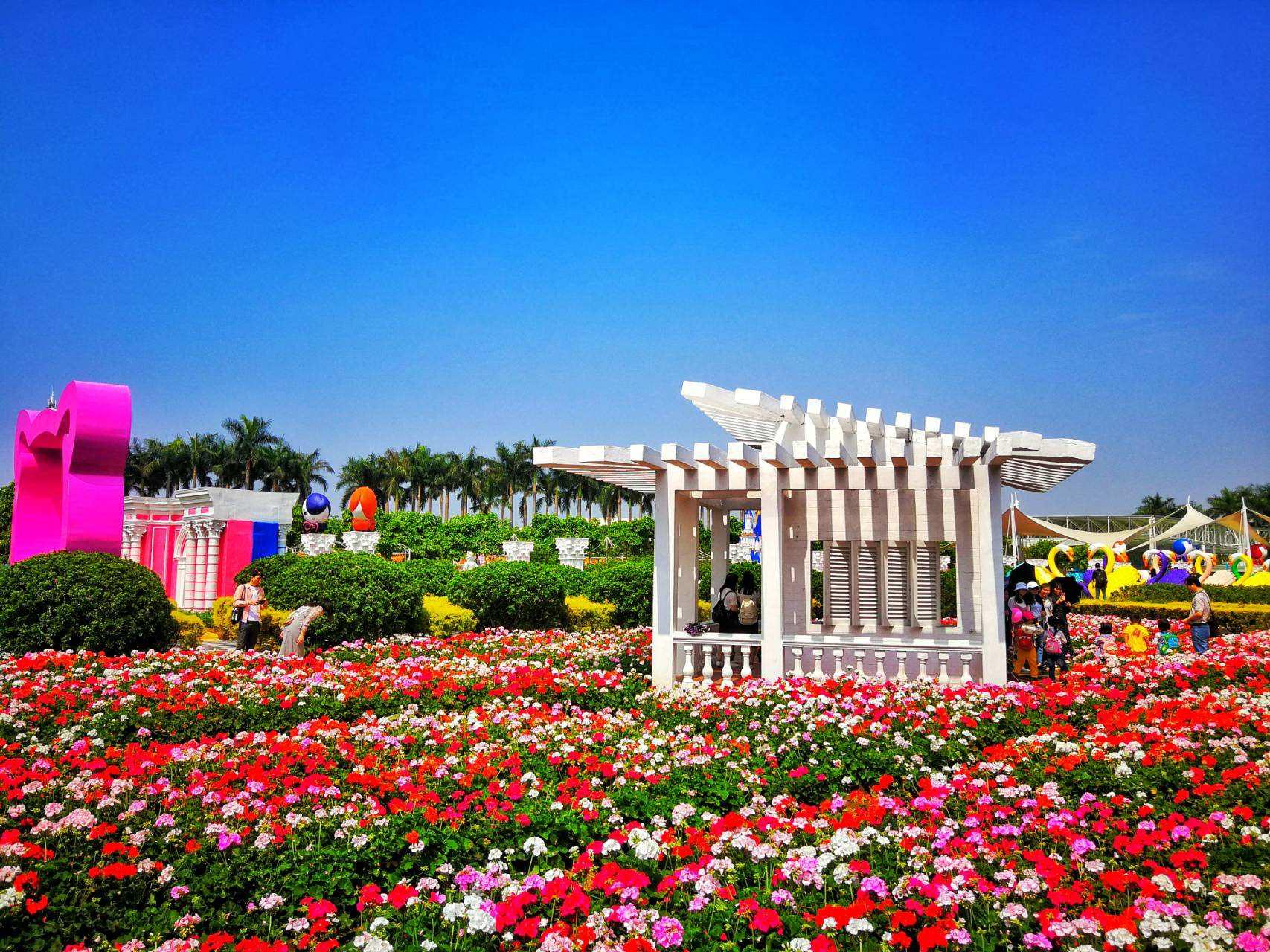 百万葵园怎么游玩才能满足,百万葵园攻略一日游图片