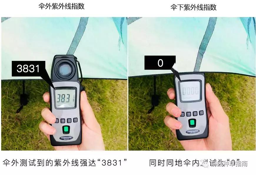 动物防晒VS人类防晒，食物链顶端的我们居然败了？！