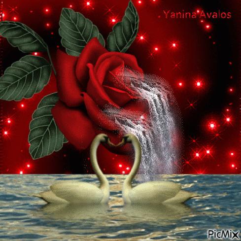 神秘的水中花,趣味神奇的水中花