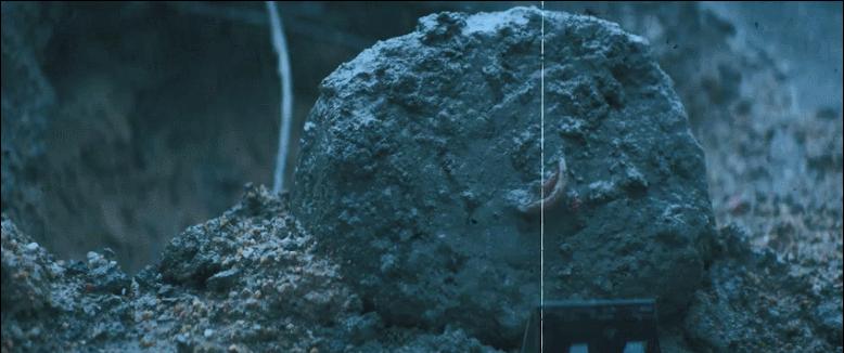 姜武真实事件改编电影,姜武演的良心电影是哪拍的