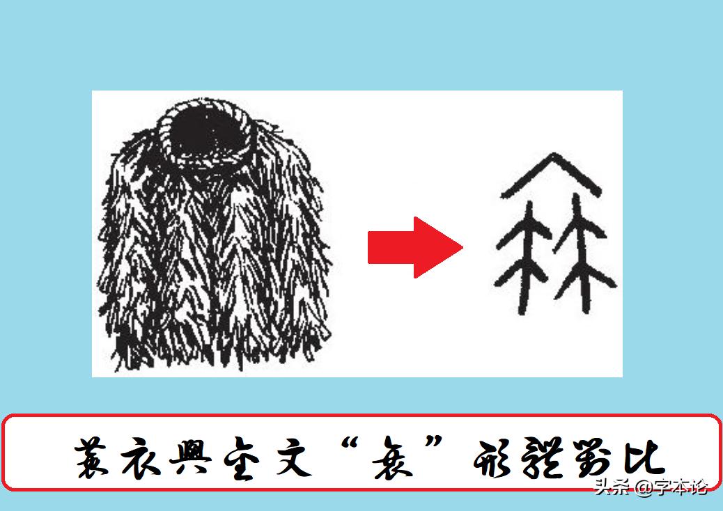 衰字在回乡偶书中的读音,回乡偶书里的衰是读cui还是shuai