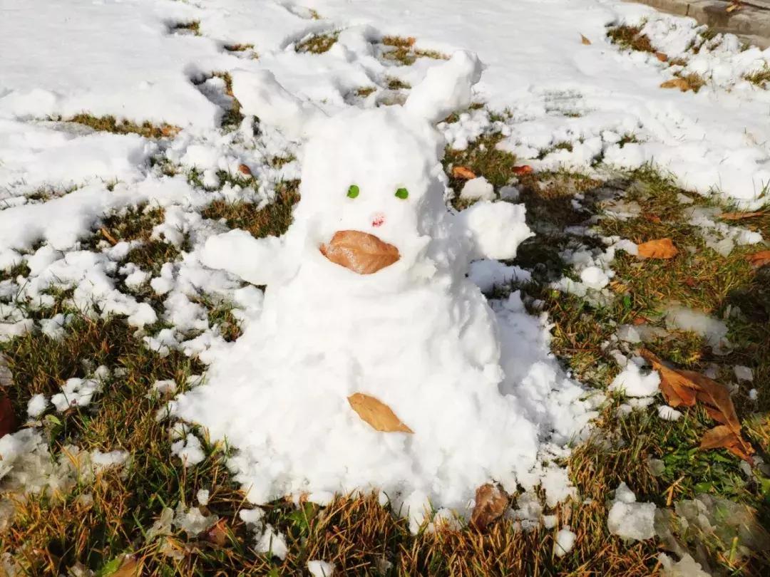 2019西北民族大学预科,高考志愿西北民族大学