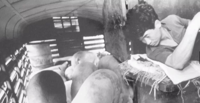 三趟快车|不为人知的“赶车人”（二）