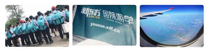 2019新东方国际游学夏令营,新东方游学夏令营报名