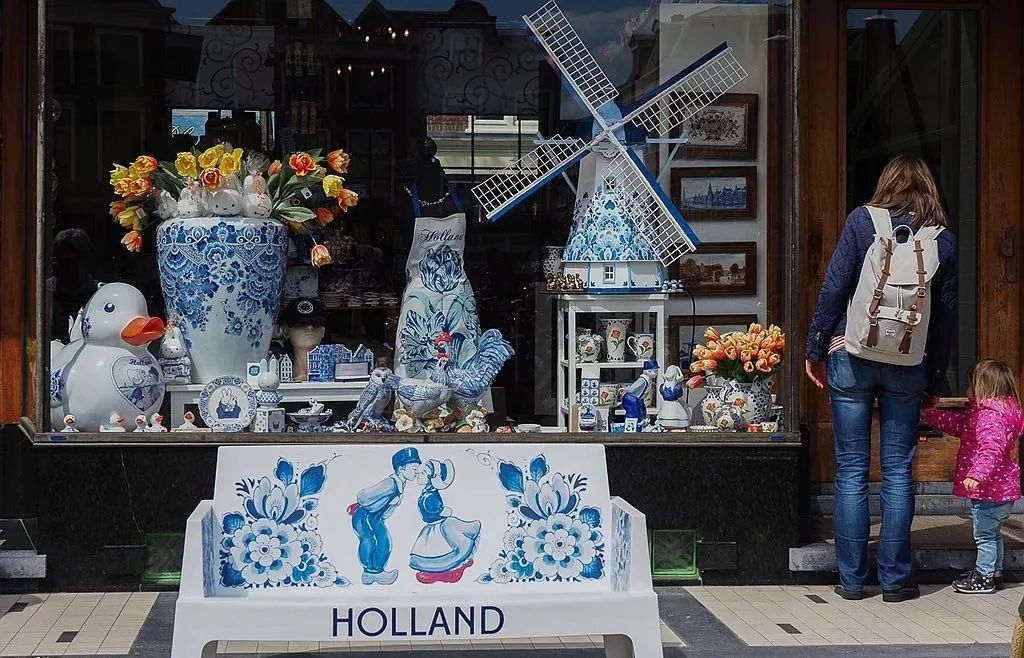 郁金香美丽的荷兰,荷兰的郁金香王国