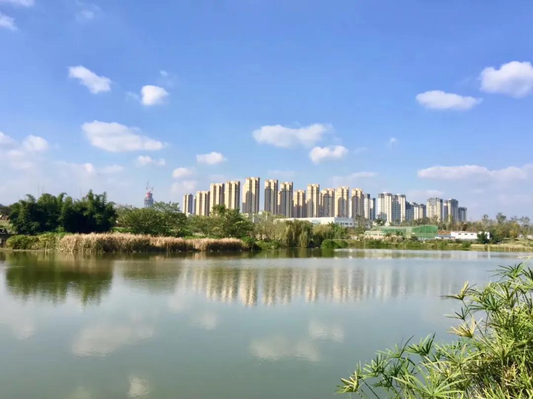 成都社保落户购房资格咨询,成都最新社保购房政策