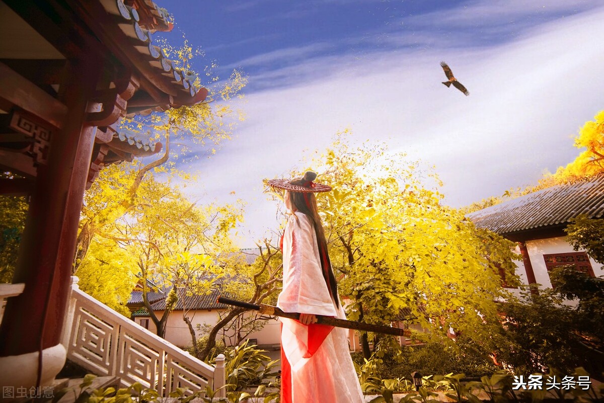 多情剑客无情剑不足之处,多情剑客无情剑无可奈何