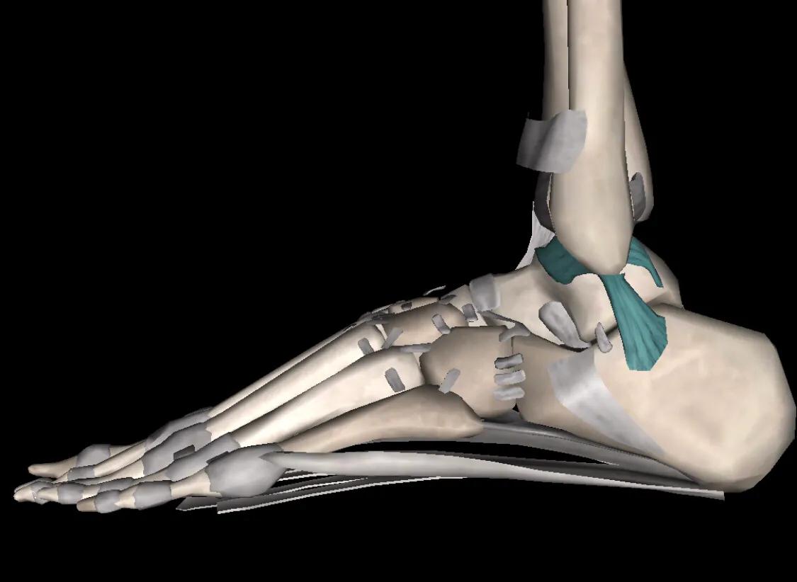 崴脚了要怎么自救,脚崴了一个月了该怎么办