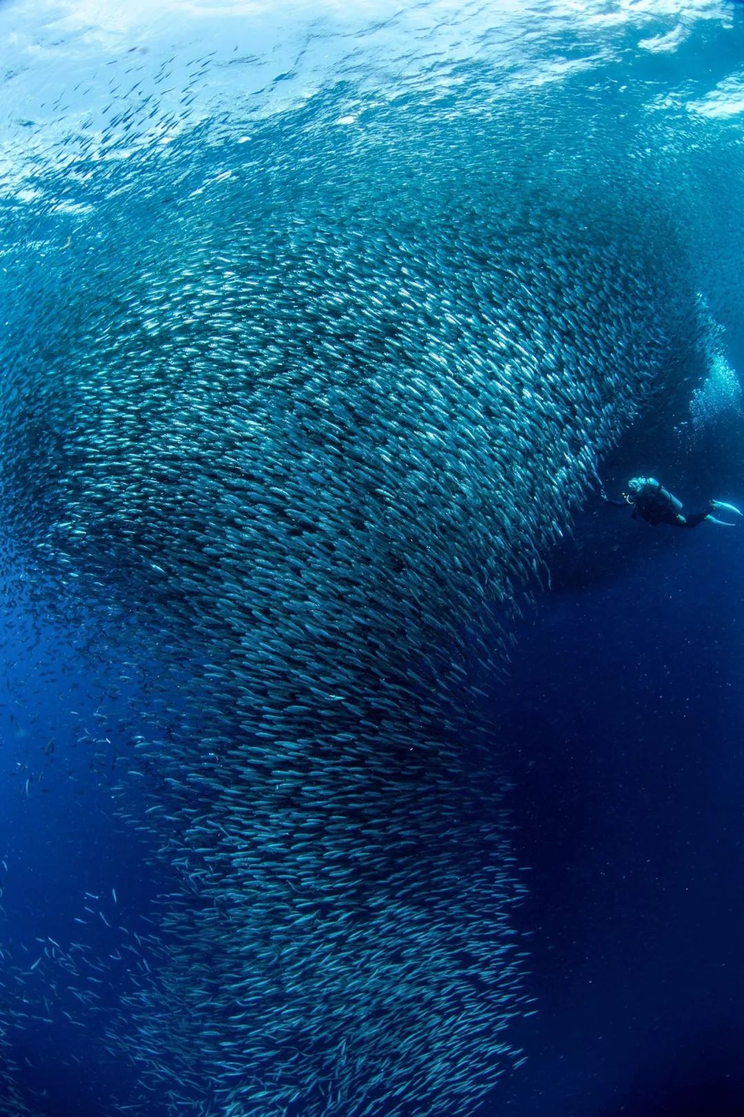 菲律宾的主岛,菲律宾岛屿旅游