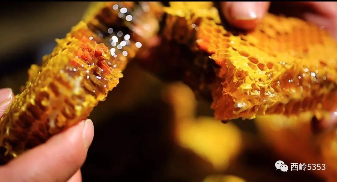 健康养生如天成，老挝特产铸永恒！老挝原生态系列全新上线