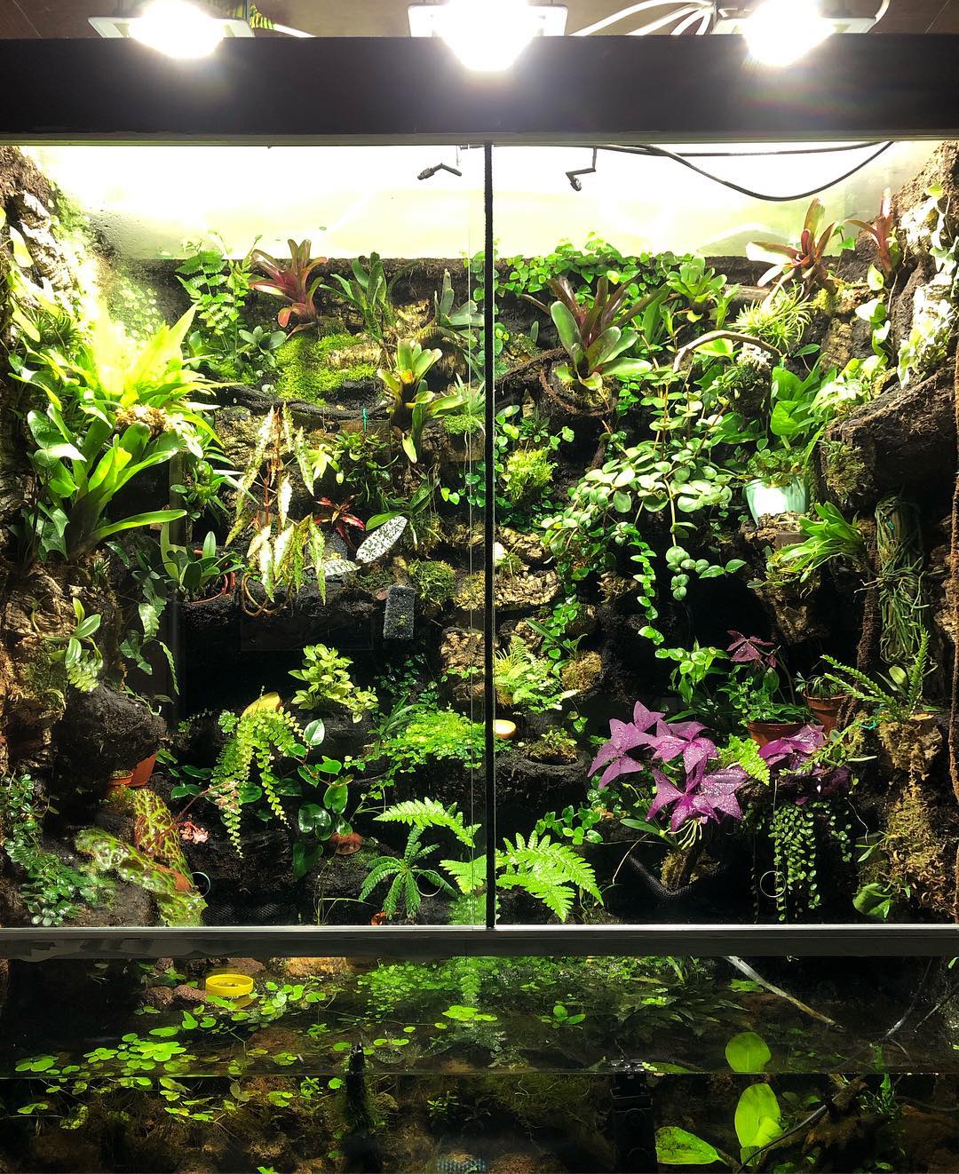 关于过滤的知识,过滤的方法和注意事项