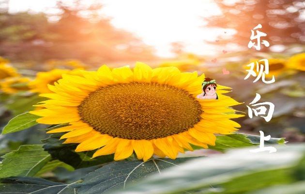 被乙肝患者血污染以后怎么处理,被乙肝患者血液污染的衣服怎么洗