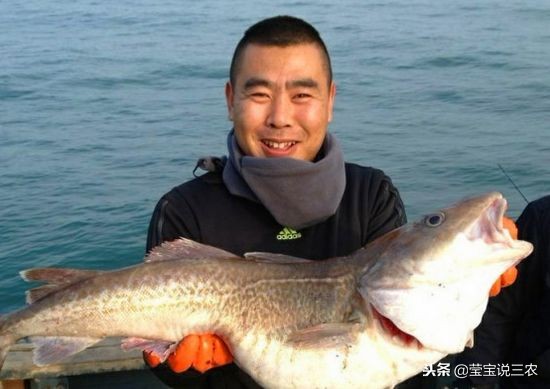 渔民捕鱼怎么赚钱,农村小伙捕鱼一天赚多少钱