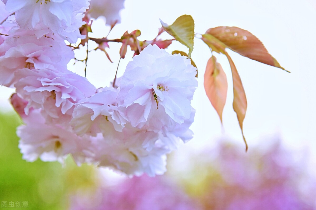 看清一个男人的真心这三点就够了,看清一个人三点就够了