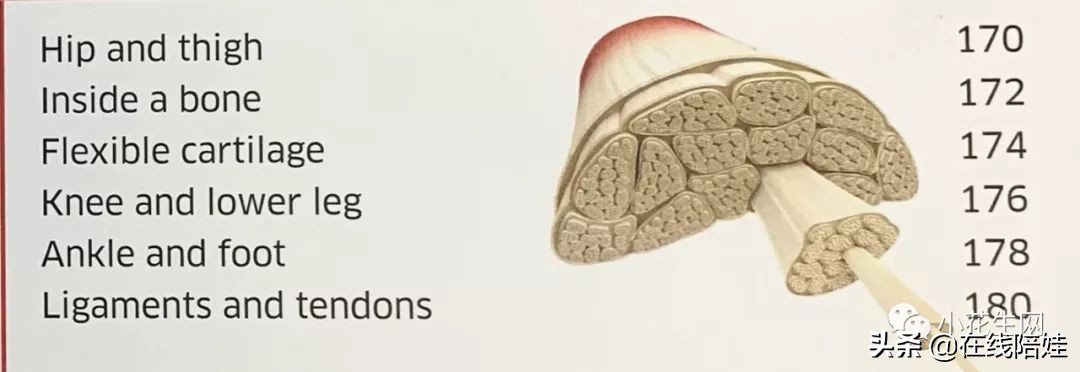 dk知识大百科全套,dk知识大百科书金银版