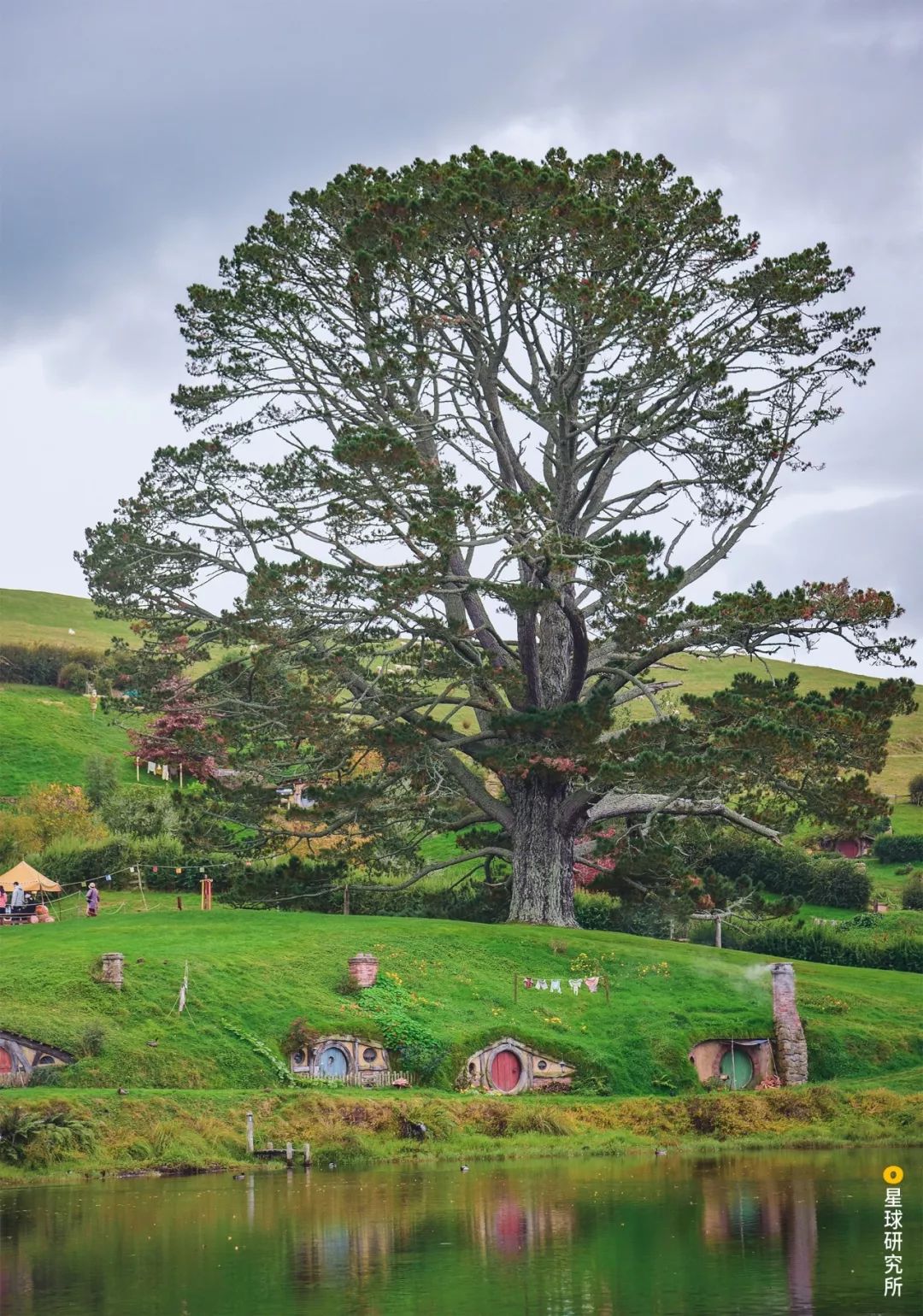 新西兰为什么那么发达,新西兰为什么这么牛